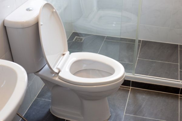 Toilet Replacement in Folsom