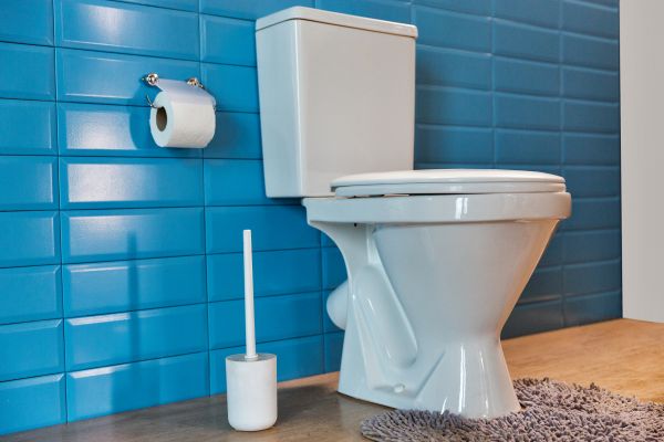 Cost of Toilet Tank Repair in Folsom
