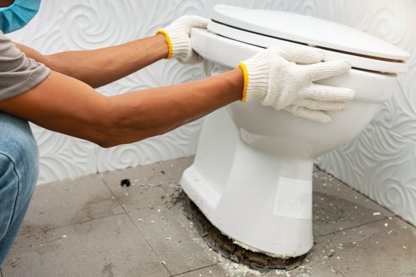 Cost of Toilet Removal in Folsom
