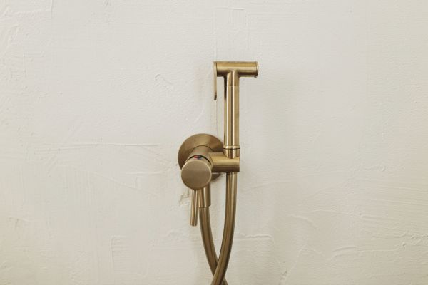 Bidet Plumbing in Folsom